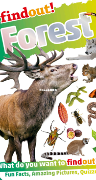 Forest - DK Findout! - Cat Hickey - English