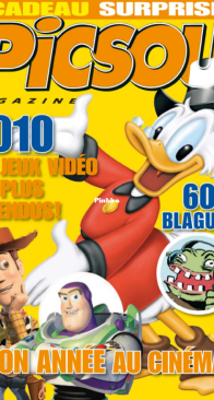 Picsou Magazine 456 - Hachette 2010 - French
