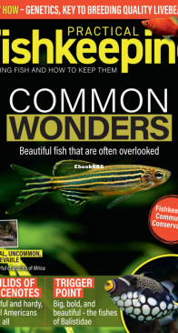 Practical Fishkeeping Magazine - 11.2025 - English