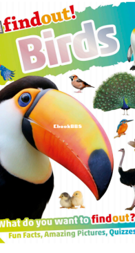 Birds - DK Findout! - Ben Hoare - English