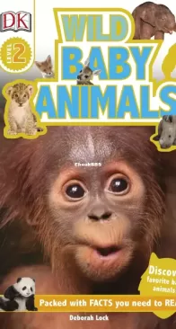 Wild Baby Animals - DK Readers Level 2. - Deborah Lock - English