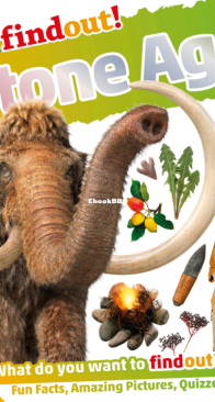 Stone Age - DK Findout! - Klint Janulis - English