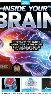 Inside Your Brain - How it Works - English