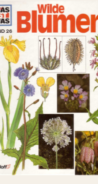 Wilde Blumen - Was Ist Was 026 - Andreas Zeugner - German