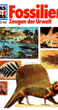 Fossilien: Zeugen der Urwelt - Was Ist Was 069 - Hans Reichardt - German