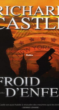 Froid D'Enfer - Nikki Heat T3 - Richard Castle - French