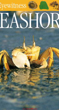 Seashore - DK Eyewitness - Steve Parker - English