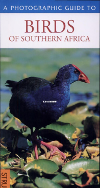 A Photographic Guide to Birds of Southern Africa - Ian Sinclair - English