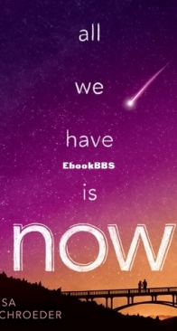 All We Have is Now - Lisa Schroeder - English