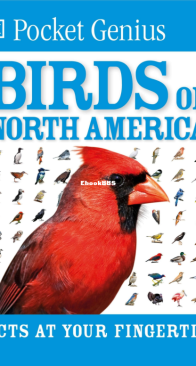 Birds of North America - DK Pocket Genius - English