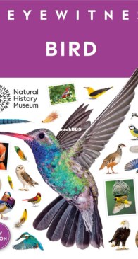 Bird - DK Eyewitness - David Burnie - English