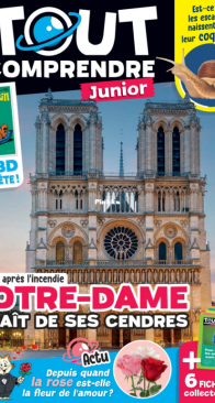 Tout Comprendre Junior 141 - 01.2025 - French