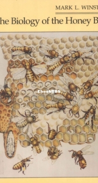 The Biology Of The Honey Bee - Mark L. Winston - English